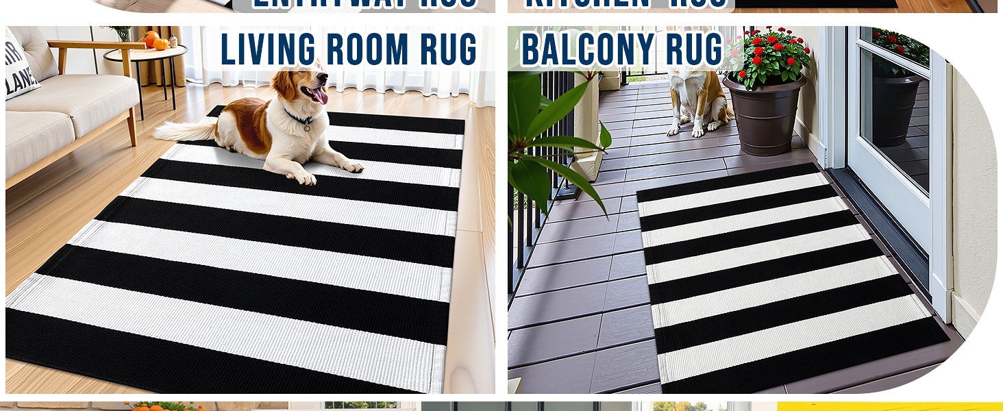 Living Room Rug