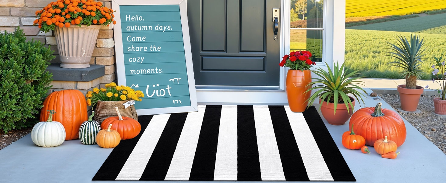 outdoor front porch rug