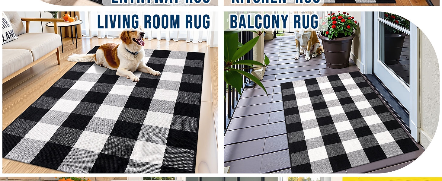 Living Room Rug