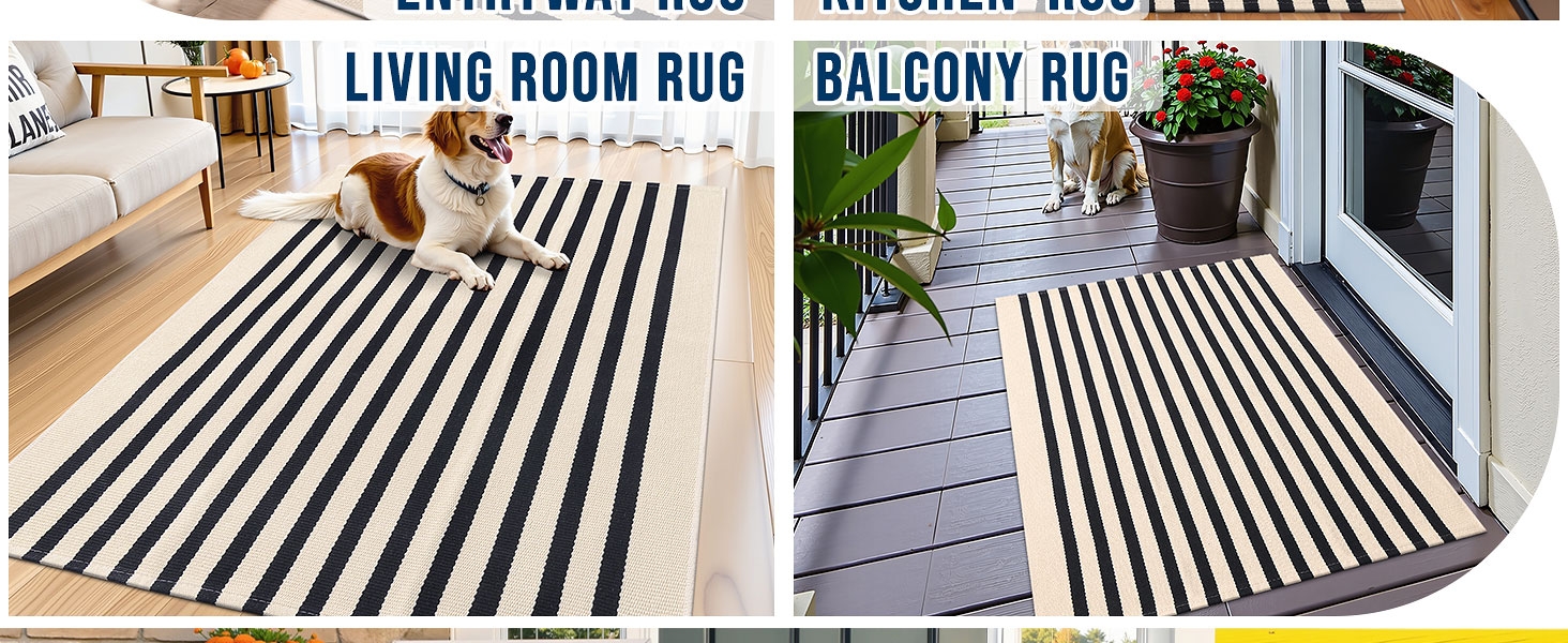 Living Room Rug