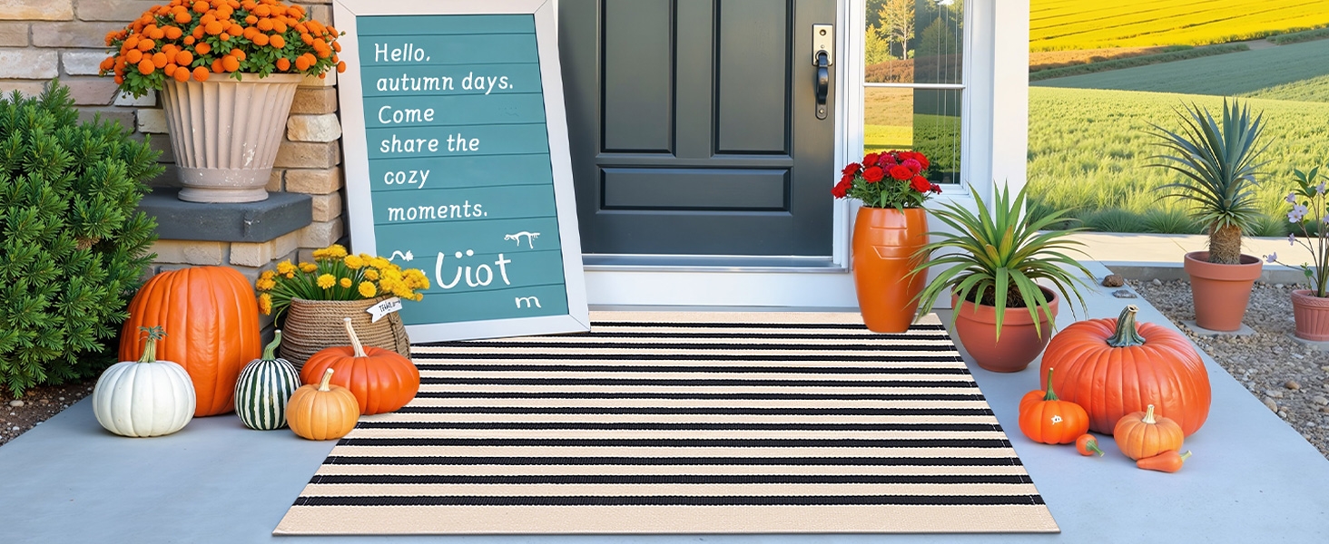 outdoor front porch rug