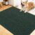 Blackish Green